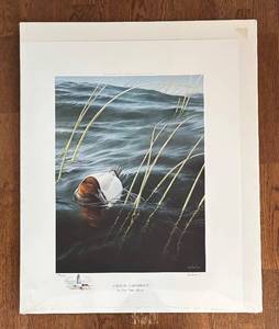 lot 454R image: FC - Ron Van Gilder Solitude Canvasback Limited Edition Unframed Print