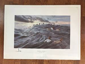 lot 455R image: FC - Windward - Canvasbacks Limited Edition Unframed Print by Ron Van Gilder