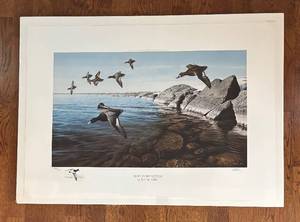 lot 461R image: LRBR - Ron Van Gilder - Stony Point Bluebills Unframed Print