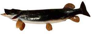 lot 483H image: LL - Mounted Fish Trophy - 31 Inches Long