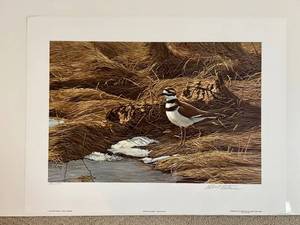 lot 489H image: LL - Robert Bateman Spring Thaw Killdeer Print Edition 226950