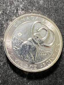 lot 17 image: 2024 CANADIAN MAMMOTH 2 TROY OZ .9999 FINE SILVER