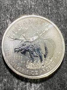 lot 46 image: 2012 CANADIAN MOOSE 1 TROY OZ .9999 FINE SILVER