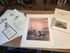 lot 76 image: Never Hung Collection of Wildlife Prints - With Paperwork