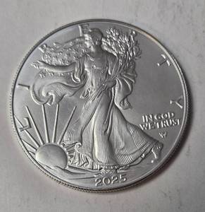 lot 28 image: 2025 W - Silver Liberty  - Proof - BU - COA
