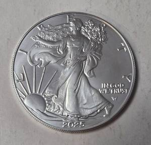 lot 29 image: 2025 W - Silver Liberty  - Proof - BU - COA