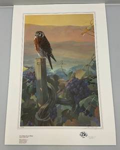 lot 192 image: Unframed Mario Fernandez The Vines Of Los Olivos HawkPrint  19 x 27 12  105475