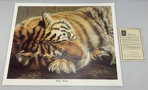 lot 193 image: Unframed Gail Adams Print Sleepin Beauty Print 22 34 x 29