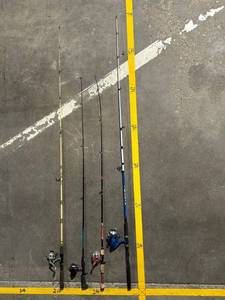 lot 290 image: Shakespeare Spincast Pink Reel & Mixed Fishing Rods (Lot of 6)
