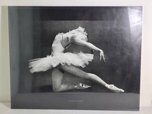 lot 265 image: Fine Art Photography Print - Max Waldman - Natalia Makarova  The Dying Swan