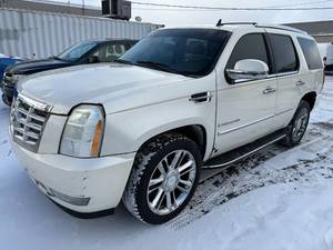 20XX Cadillac Escalade AWD