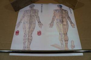 lot 85 image: Chinese Chart of Acupuncture Points - 24x24
