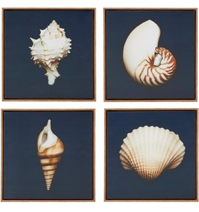 lot 145 image: Madison Park Ocean Seashells Wall Art Set - 12x12