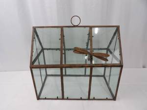 lot 93 image: Terrarium with Glass &amp Metal Frame with Dragonfly Accent 16 x 9