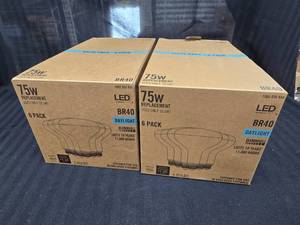 lot 73 image: 2 boxes of 6 75W LED Light Bulbs BR40 Daylight
