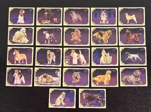 lot 300R image: B - Topps Allen & Ginter Dog Cards - Canine Portrait Lot