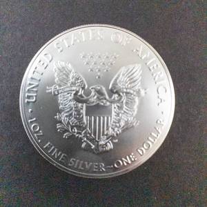 lot 65K image: 2019 Silver Eagle 1oz Fine Silver One Dollar Coin