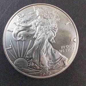 lot 66D image: 2020 Silver Eagle 1oz Fine Silver One Dollar Coin