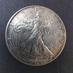 lot 66G image: 1993 Silver Eagle 1oz Fine Silver One Dollar Coin