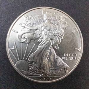 lot 66H image: 2020 Silver Eagle 1oz Fine Silver One Dollar Coin