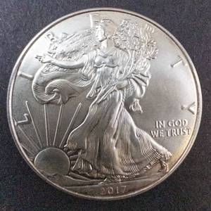lot 66L image: 2017 Silver Eagle 1oz Fine Silver One Dollar Coin