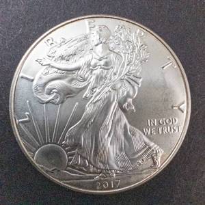 lot 66M image: 2017 Silver Eagle 1oz Fine Silver One Dollar Coin