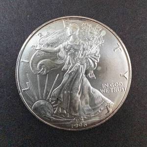 lot 66Y image: 1996 Silver Eagle 1oz Fine Silver One Dollar Coin