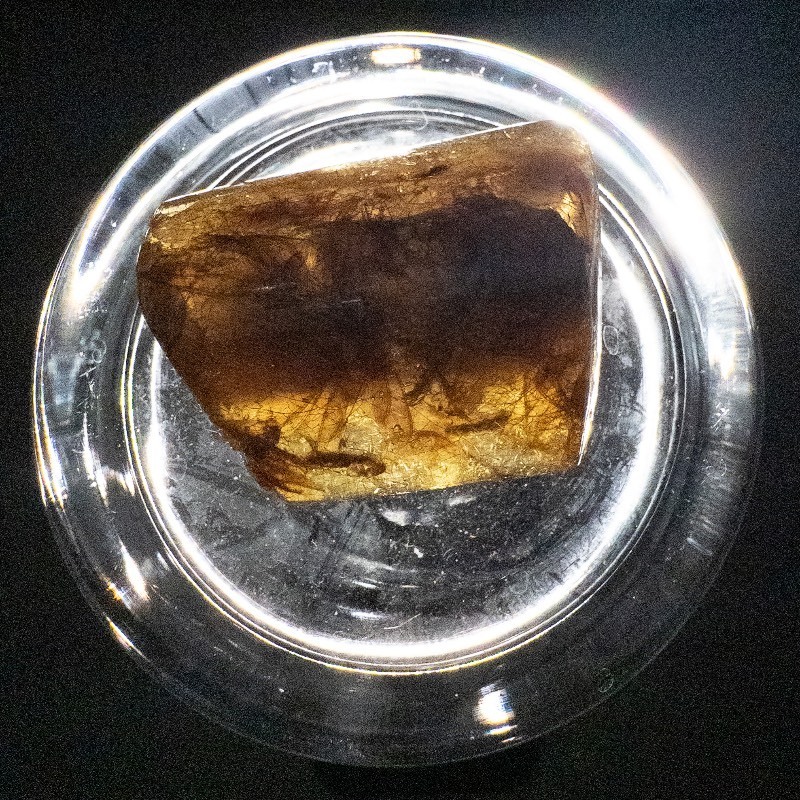lot 51 image: 74ct Amber With Insect Inclusion - 35x45x16 mm