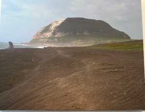 lot 90 image: Iwo Jima Beach Scene Canvas Print - 20x16