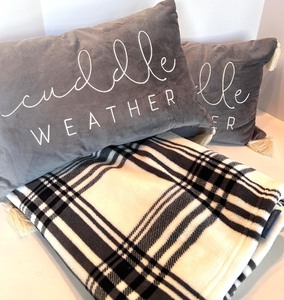 lot 93 image: Port Authority Throw Blanket & 2 Cuddle Weather Pillows