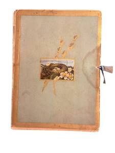 The Coming of the Birds - Elaine Goodale, Illustrated by Alexander Pope (1883)