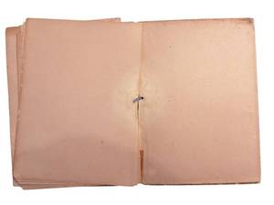 The Coming of the Birds - Elaine Goodale, Illustrated by Alexander Pope (1883)