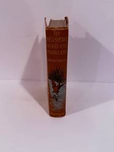 lot 16 image: By Sea-Shore, Wood & Moorland - Peeps at Nature, Edward Step, 3rd Ed.