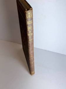 lot 71 image: Frederick Stearns & Co. - Retail Druggist Diary & Want Book 1886