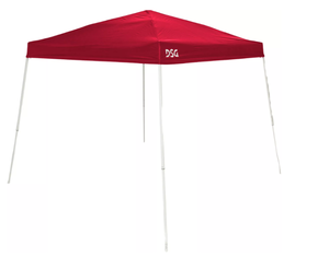 lot 342 image: DSG 10 x 10 Slant Leg Canopy (Used)