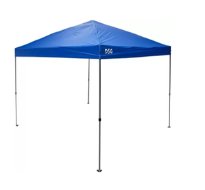 lot 343 image: DSG 10x10  Straight Leg Canopy (Used)