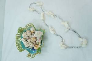 lot 118 image: Sea Shells Collection