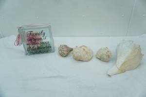 lot 220 image: Large Sea Shells, Decorative Clear Glass Block