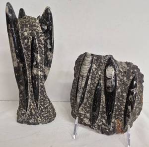 lot 173MP image: Orthoceras Fossil in Marble Tower 9.25in Tall & Flat Marble Fossil 5.5x6.5in