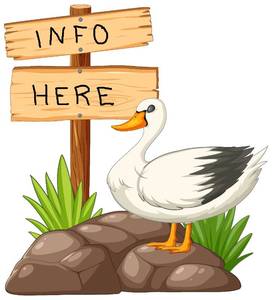 lot 0 image: INFO LOT