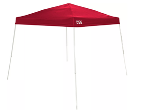 lot 200 image: DSG 10 x 10 Slant Leg Canopy (Used)