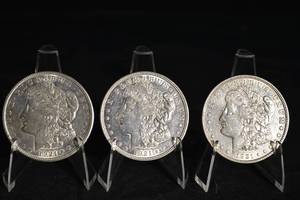 lot 6 image: 1921 Morgan Silver Dollars (Lot of 3)