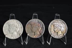 lot 14 image: 1922, 1924 Peace Dollar (Lot of 3)