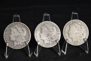 lot 20 image: Morgan Silver Dollar Coins (Lot of 3)