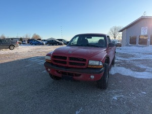 lot 11 image: 2000 Dodge Dakota