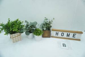 lot 286 image: Artificial Green Plants and Vases, Wood & Metal Home Sign (with other metal letters)