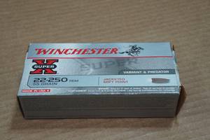 lot 151 image: 20 Winchester Super-X .22-250 Rem 55 Gr JSP Ammo