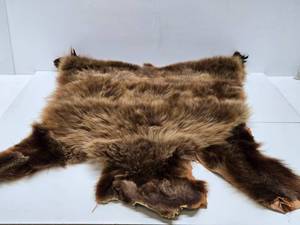 lot 69 image: Excellent Genuine Cinnamon Bear FurHide Rug