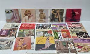 lot 96 image: Estate Lot of Vintage Vinyl Records #6 - Approx 60 Adult Stag Records Records
