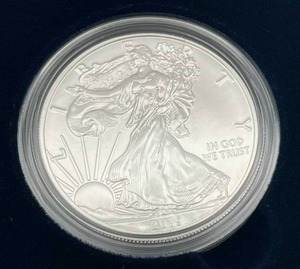 U.S. Mint 2019-W American Eagle One Ounce Silver Uncirculated Coin w/ COA